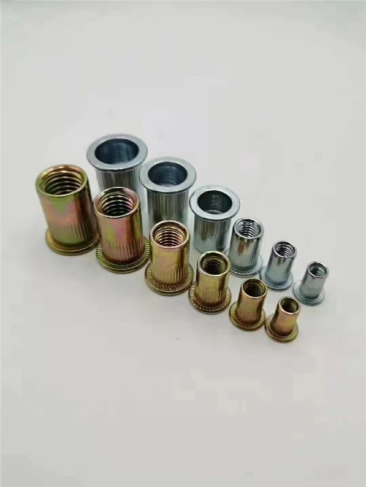 Countersunk Head Riveted Nuts
